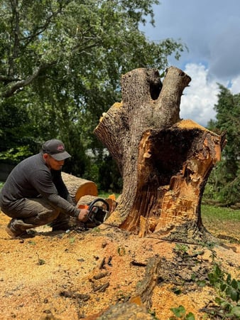 Images Triple A Tree Service