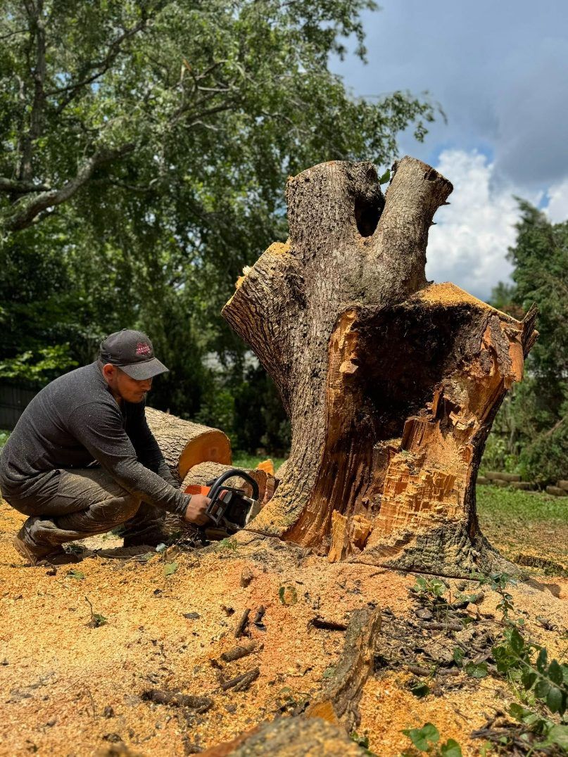 Triple A Tree Service Image