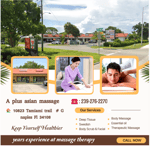 A plus Asian Massage Logo