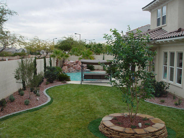 Images Cacti Landscapes Las Vegas