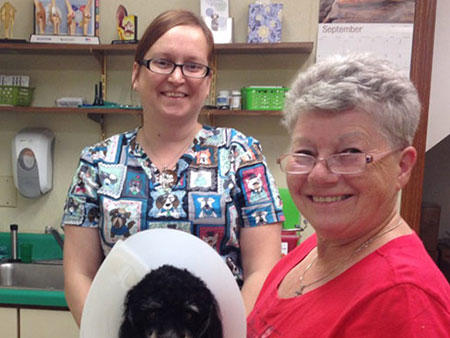 Images All Paws & Claws Veterinary Clinic