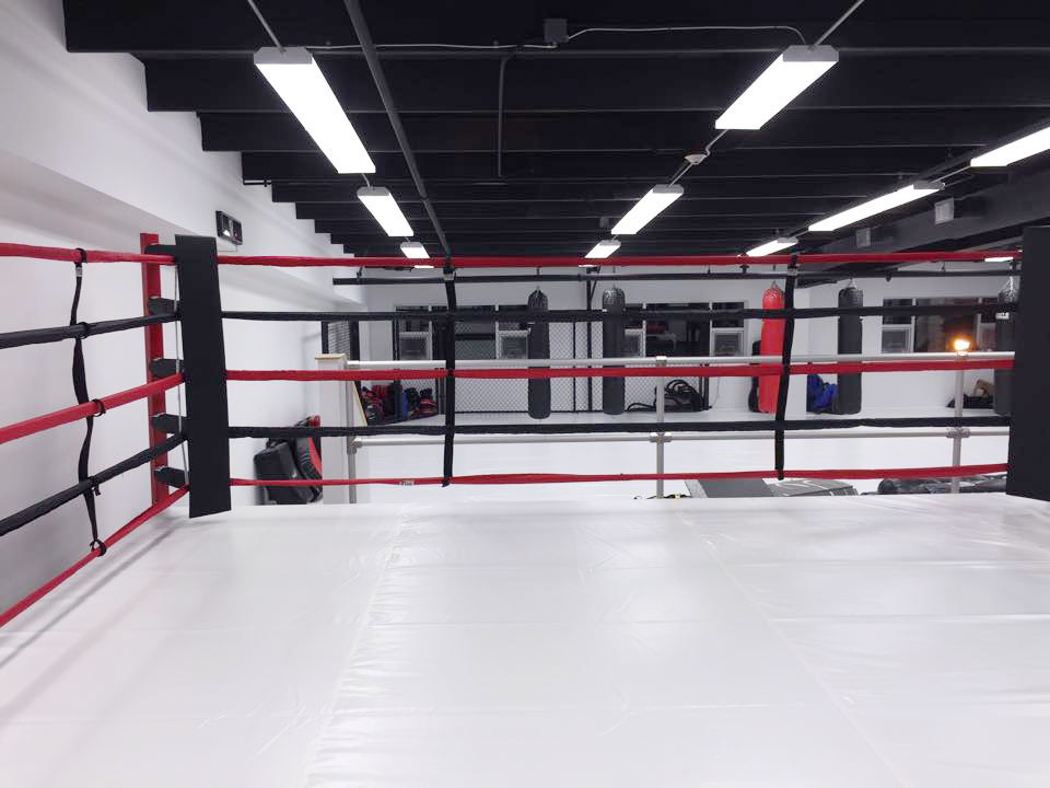 Ki Salem's MMA and Kickboxing Ring