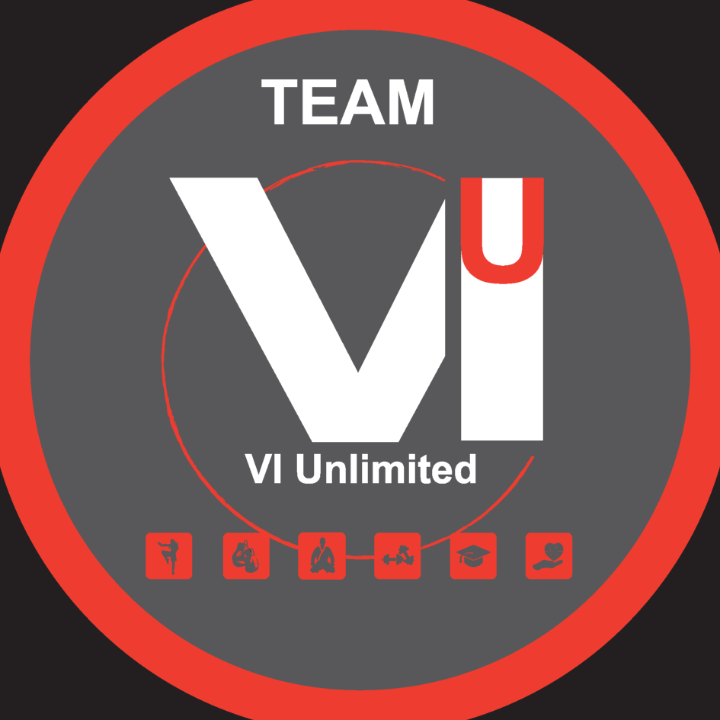 Vi Unlimited GbR in Ulm an der Donau - Logo
