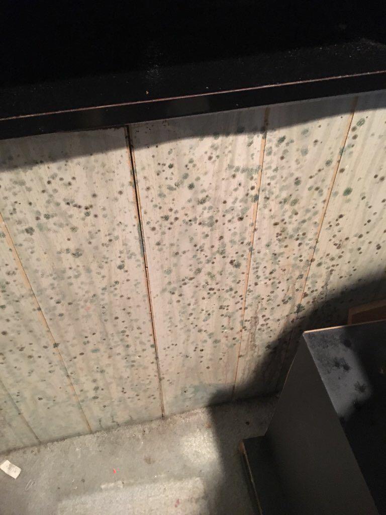 Commercial and residential mold remediation is no problem for SERVPRO of  East Greenwich/ Warwick.