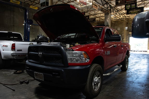 Images Strictly Diesel