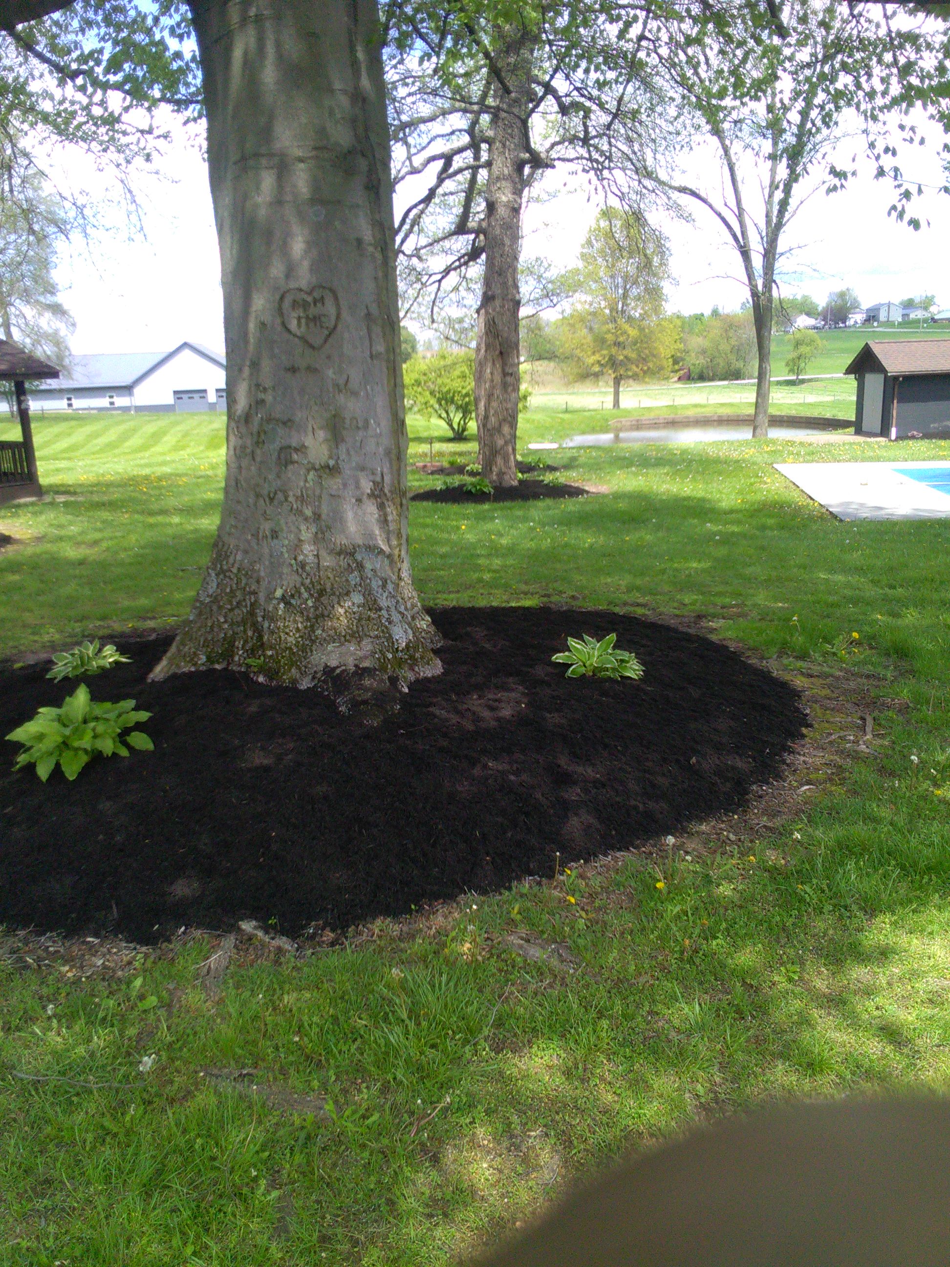 Working with fellow family-owned business, Kaufman Mulch in Millersburg, allows Steven to offer a wide selection and trusted quality. He guides homeowners and business owners to select the color and shred to best complement any building.