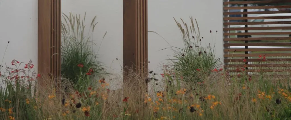 Images Amanda Patton Landscape & Garden Design