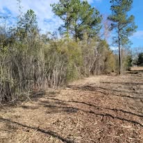Images J & M Forestry and Mulching LLC