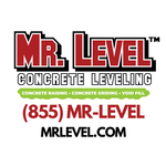 Mr. Level Logo