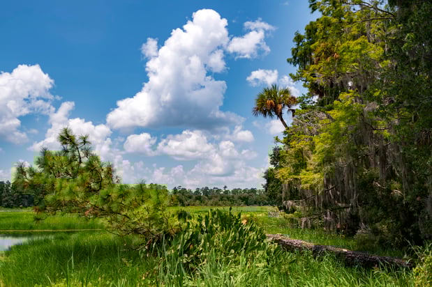 Images Holiday Inn Express & Suites Silver Springs-Ocala by IHG