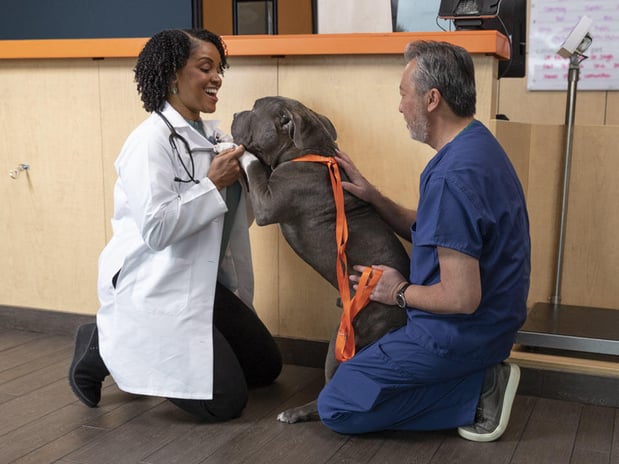 Images Banfield Pet Hospital