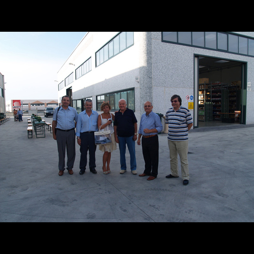 Images Icam Commerciale
