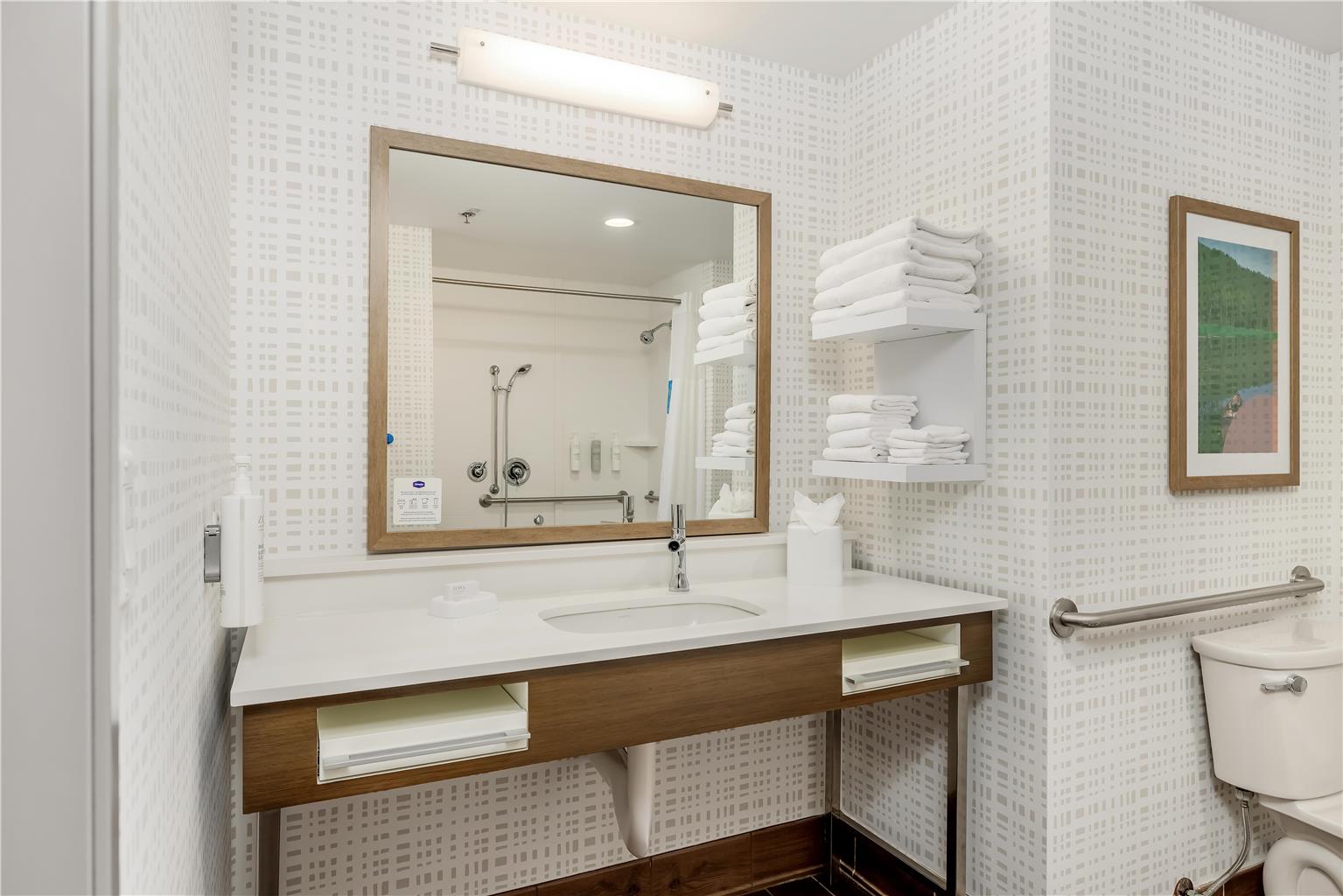 Guest room bath 