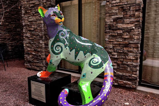 Images Homewood Suites by Hilton Durango, CO