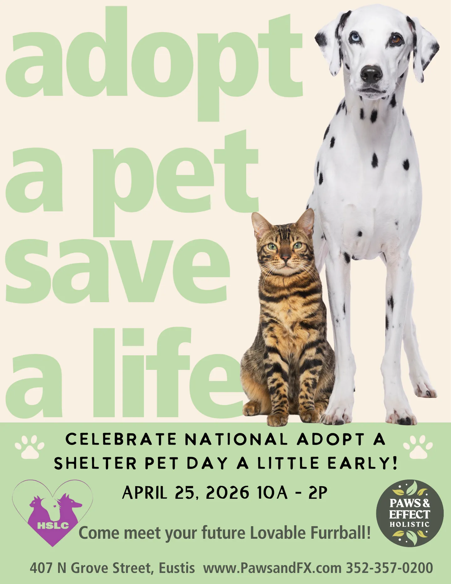 Image of Local Pet Event National Adopt a Shelter Pet Day (a wee bit early!) Nearby