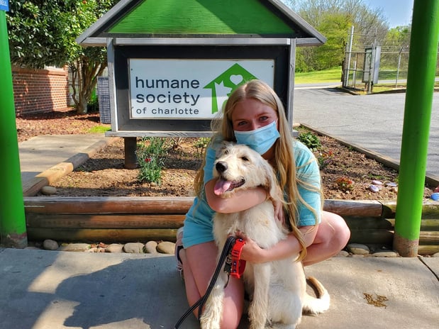 Images The Humane Society of Charlotte