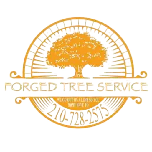 Forged Tree Service