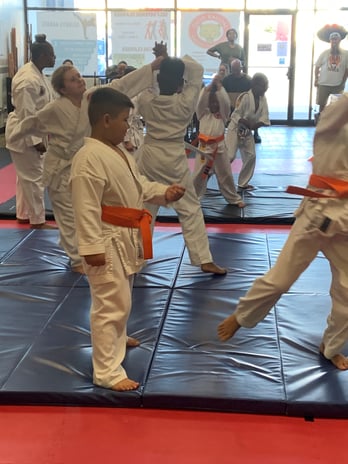 Images Jaguar Dojo