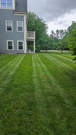 Images Ultra Landscaping LLC