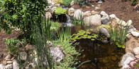 Get your water features up and running again with our pond and water feature repair services.