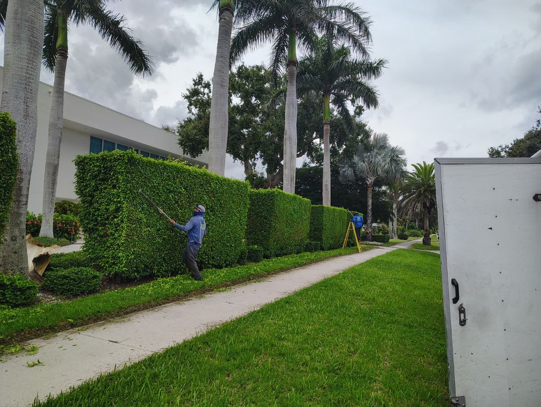 Superstar Landscaping Image