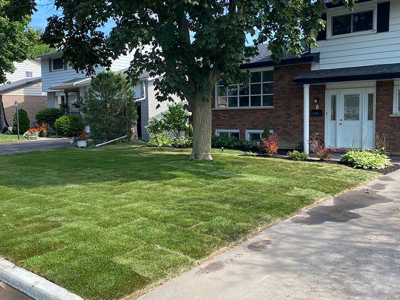 Images Petit Landscaping