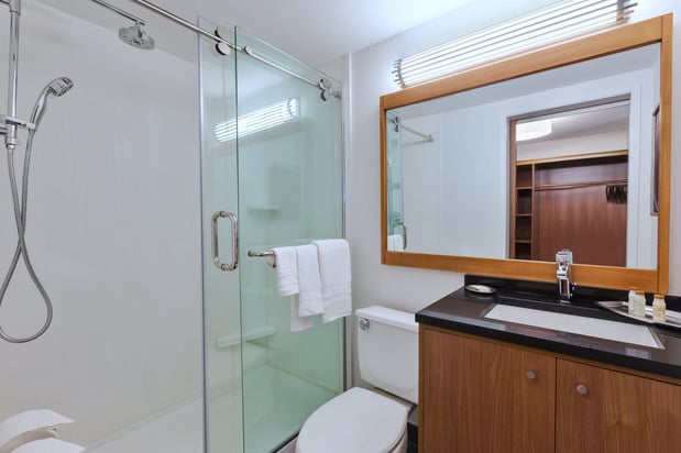 Images Hotel Indigo Detroit Downtown by IHG