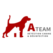 A-Team Désinfection Logo