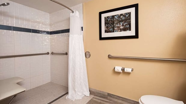 Images Best Western Plus Anaheim Orange County Hotel
