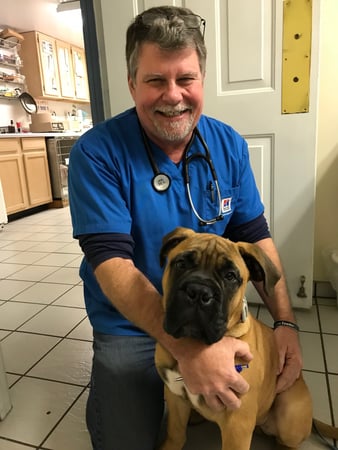 Images A Pet's Place of Clearwater