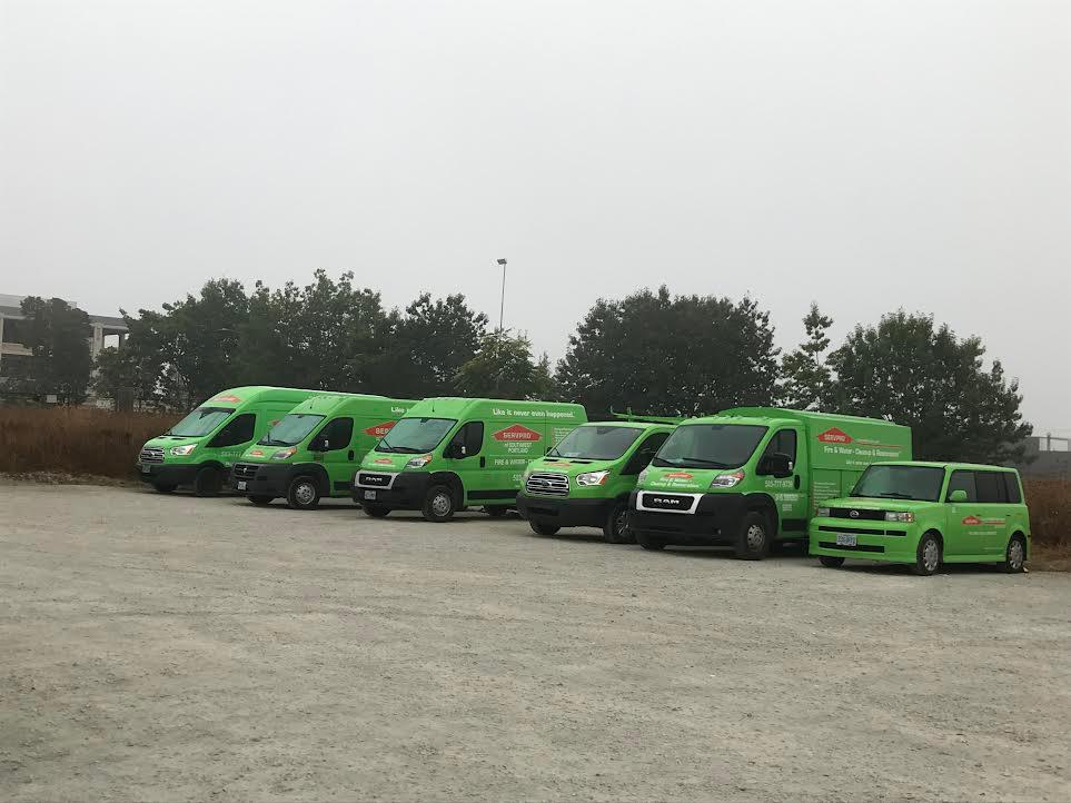 5 green vans and 1 Sion lined up.