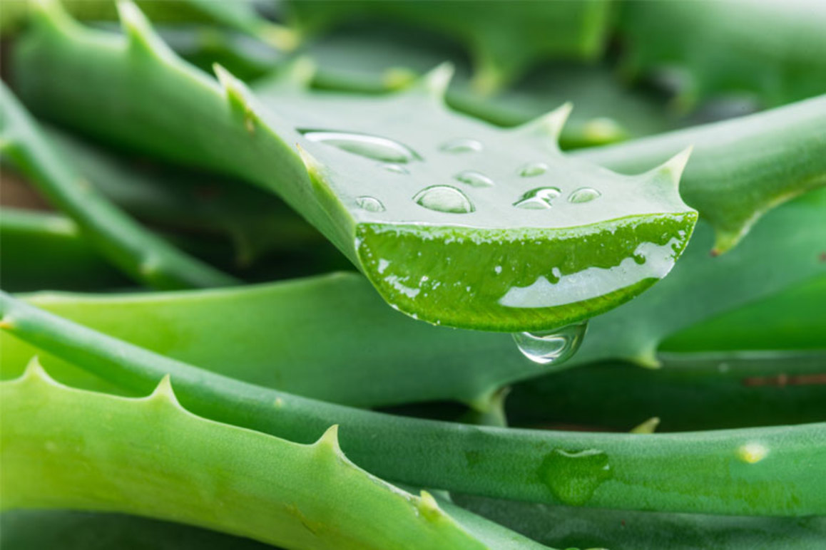 Images Nilsen Ministeri