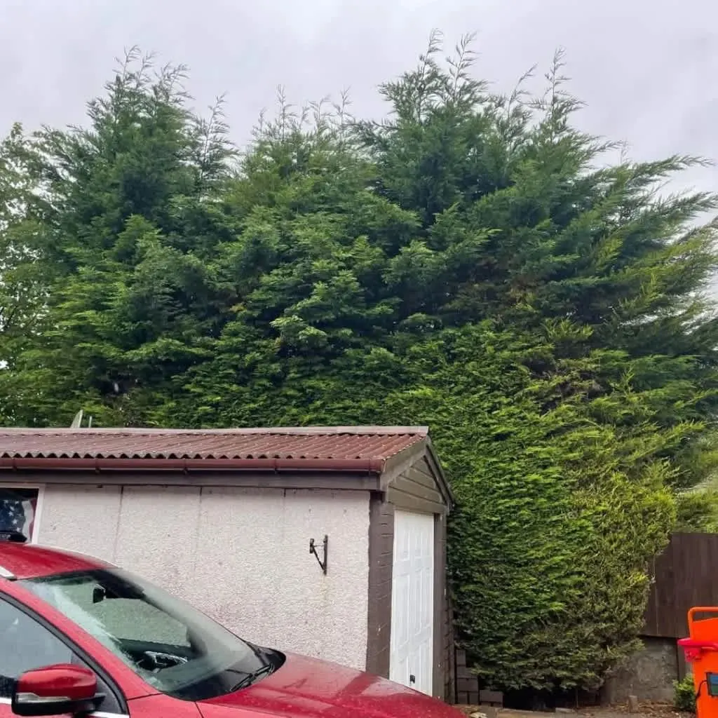 Images Star Fencing and Landscaping