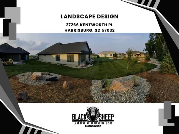 Images Black Sheep Landscape