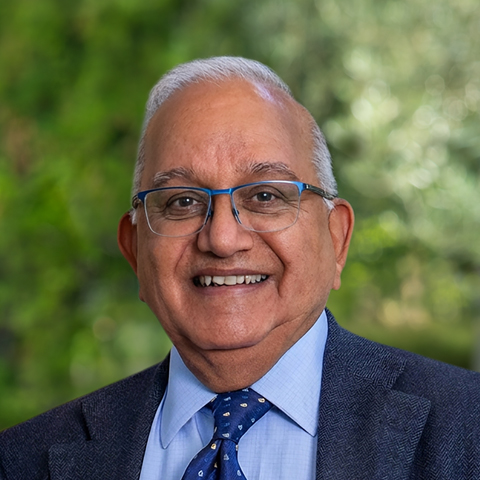 Dr Ajay K. Upadhyay