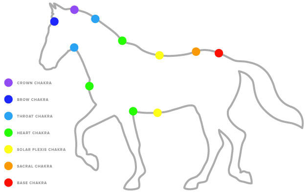 Images My Pet Reiki - Equine and Pet Reiki by Isa Tsen