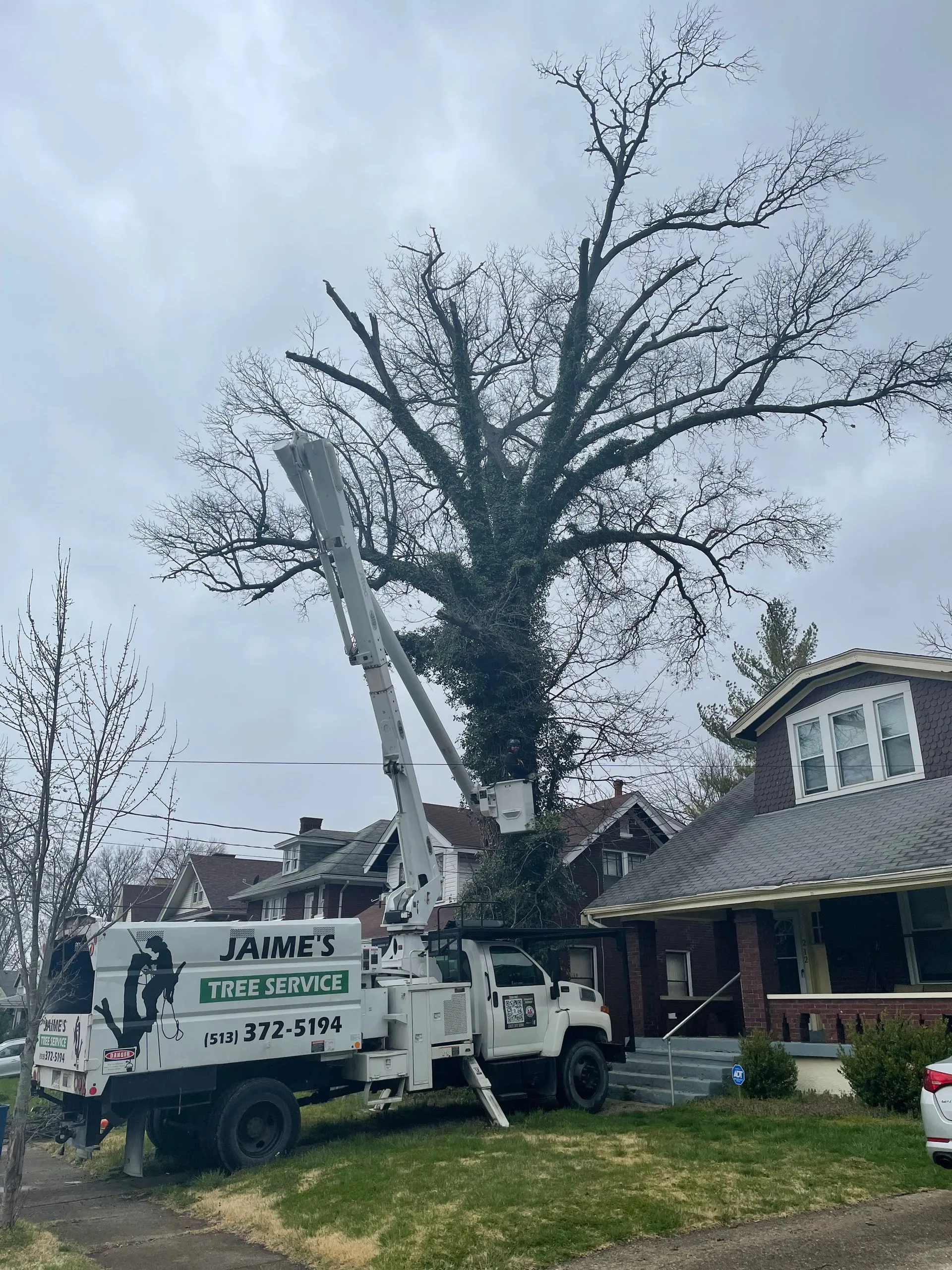Jaime's Tree Service Image