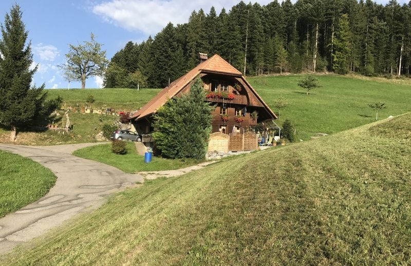 Bilder Waldrand Beizli
