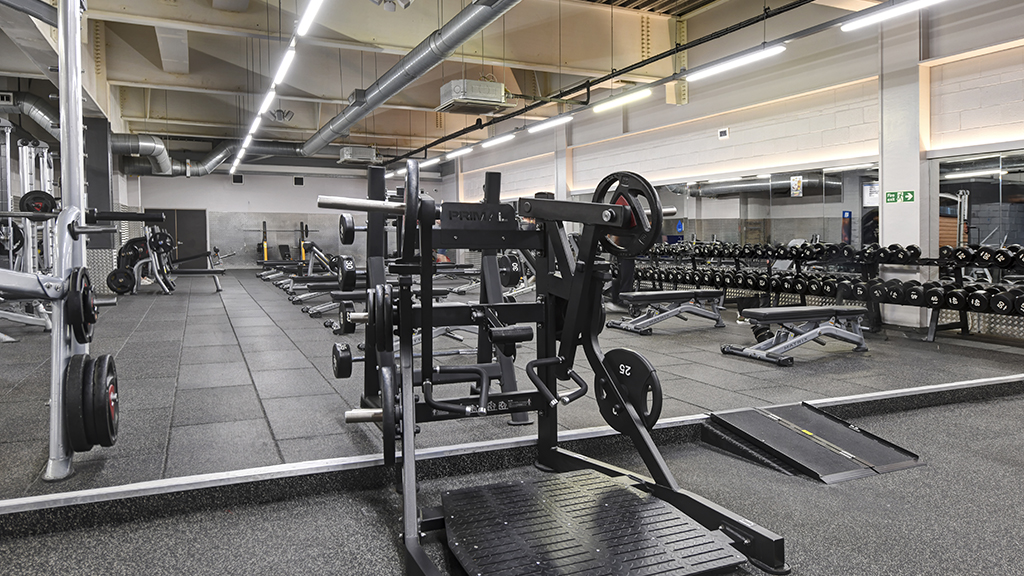 Free Weights Area