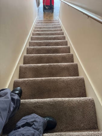 Images The Carpet Cleaning Company