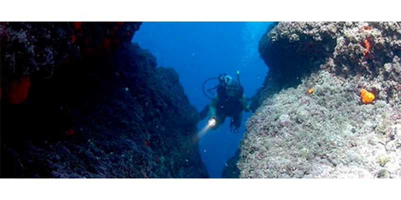 Images La Boa charter E diving