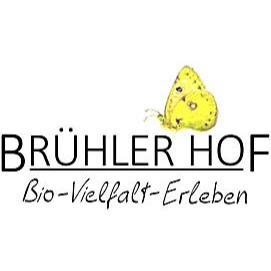 Weingut Brühler Hof Sebastian Rook in Volxheim - Logo