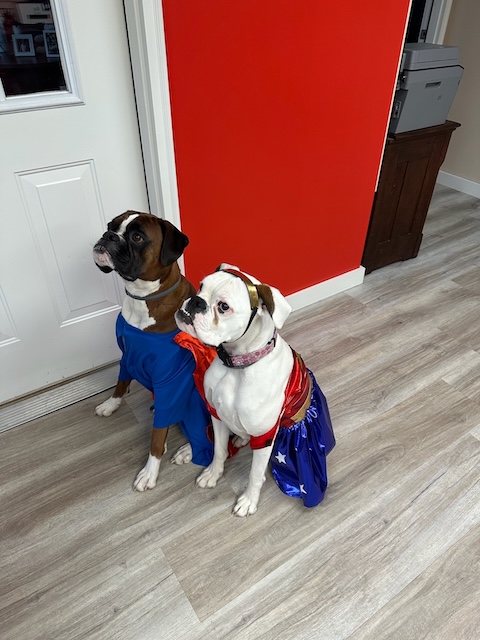 Jerry Farnum - State Farm Insurance Agent Image