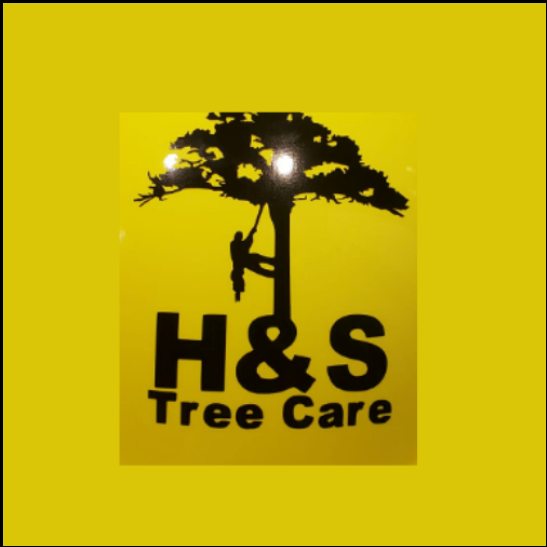 H & S Tree Care - Cortez, CO 81321 - (970)565-0906 | ShowMeLocal.com
