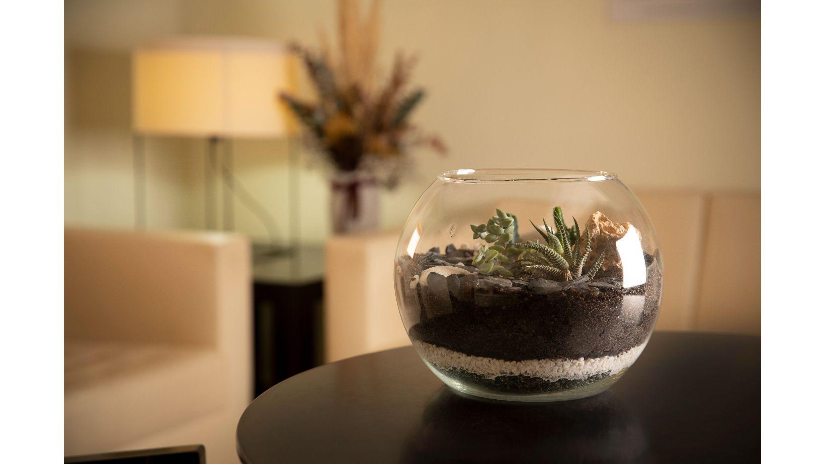 Cementiri Comarcal Roques Blanques 31