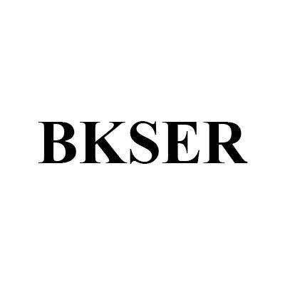 B & K Small Engine Repair Logo