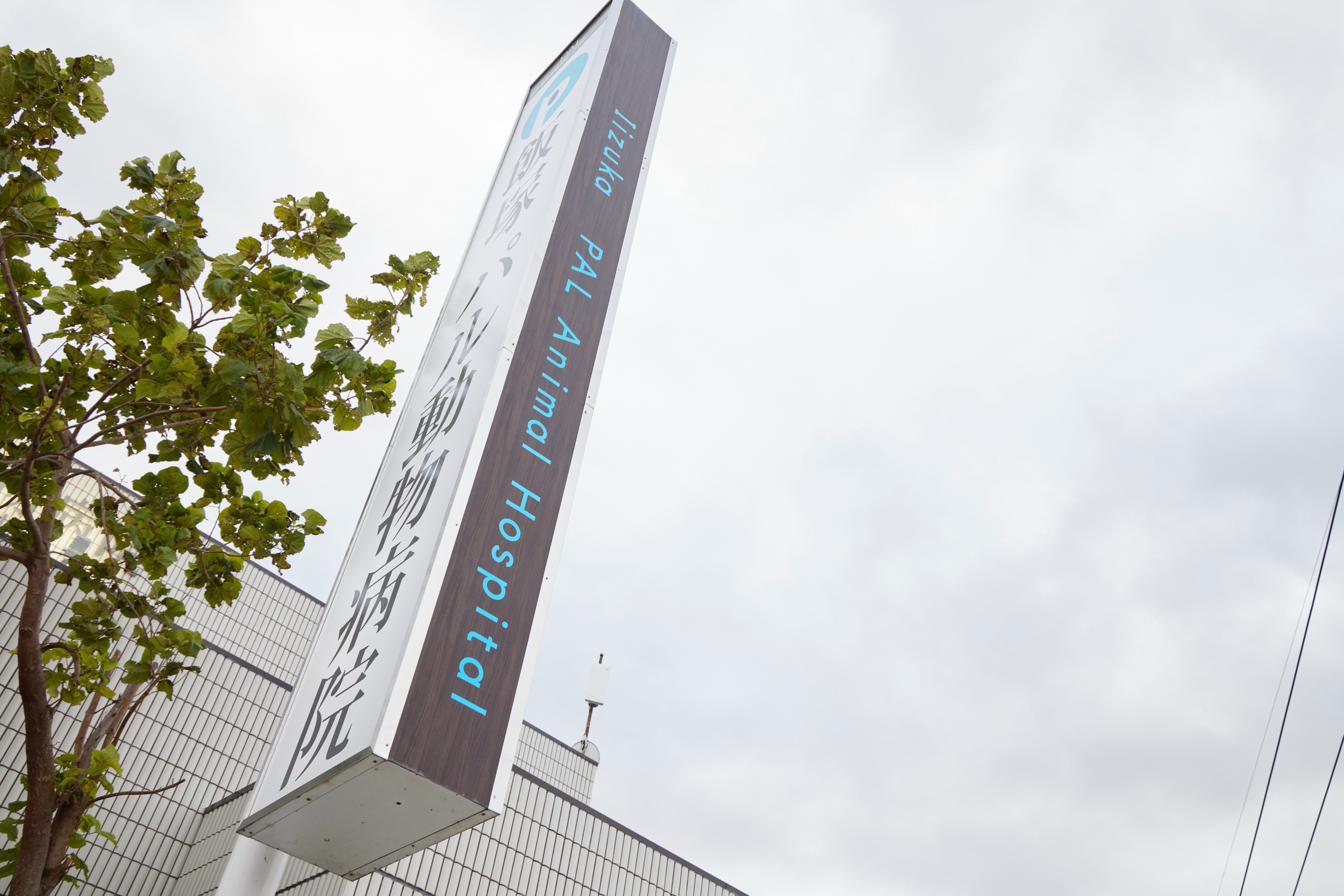 Images 飯塚パル動物病院 PAL動物病院グループ