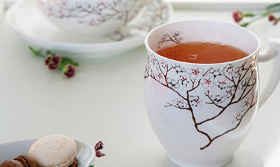 TeaLogic - Teezubehör Inh. Michaela Bendinger, Marterburg 4 -5 in Bremen