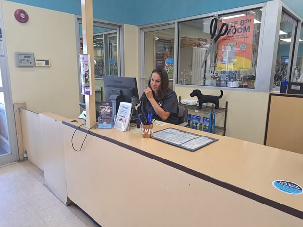 Images Petco Grooming