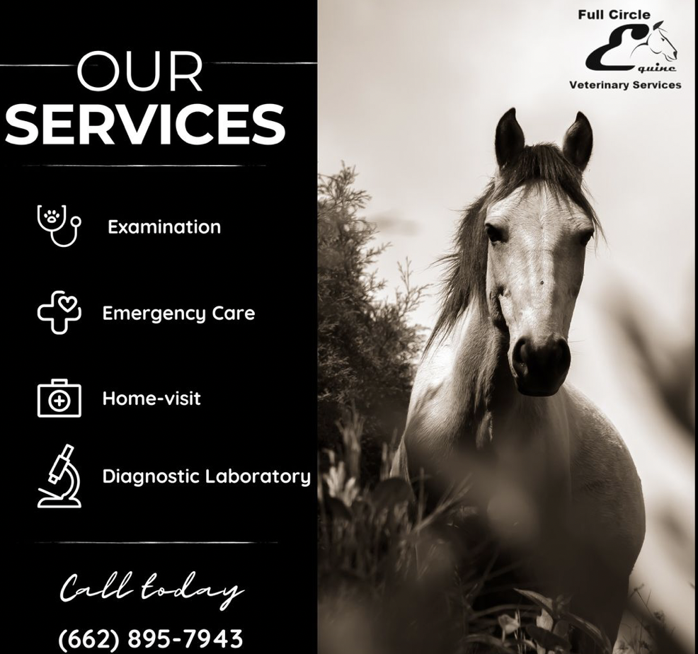 At Full Circle Equine, we are committed to providing the best possible care for your horse. Our experienced team of staff and trainers are knowledgeable in equine nutrition, health, and behavior, and are dedicated to the safety and wellbeing of your horse.